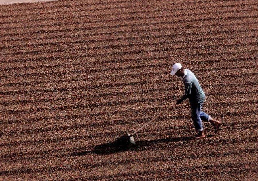 Segurado Especial Ter Novas Regras Para Comprovar Atividade Rural