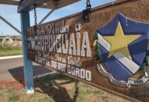 Chupinguaia entre os cem maiores rebanhos bovinos do país e Vilhena é destaque pelo número de galinhas em RO