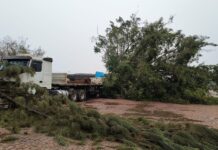 VÍDEO: temporal causa transtornos e prejuízos em Vilhena