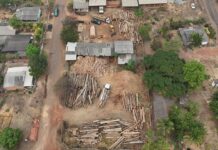 PF deflagra operação contra transporte irregular de madeira em RO