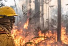 Coronel Chrisóstomo critica omissão do governo e alerta para devastação da Amazônia