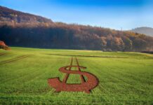 PIB da agropecuária cai 2,3% no 2º trimestre ante o 1º trimestre, aponta IBGE