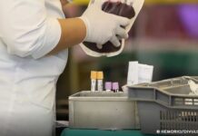 STF reconhece direito de testemunhas de Jeová recusar transfusão