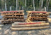 VILHENA: PM anuncia edital de leilão de madeiras apreendidas