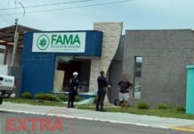 Mulher é conduzida à delegacia após quebrar portas, janelas e objetos em instituição de ensino em Vilhena