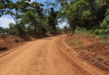 Estradas rurais de Primavera de Rondônia são recuperadas com recursos assegurados por Cirone Deiró