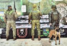 PM apreende 35 mil maços de cigarros contrabandeados em Nova Mamoré