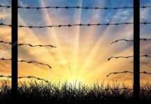 Câmara aprova projeto do deputado Lucio Mosquini para retirada de invasores sem processo judicial