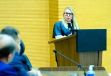 Ieda Chaves solicita melhorias na infraestrutura viária na RO-267 em Castanheiras