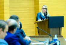 Ieda Chaves solicita melhorias na infraestrutura viária na RO-267, em Castanheiras