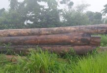 Leilão de bens acontece em Colorado no dia 15 de Janeiro