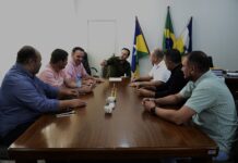 Força-tarefa intersecretarial lança ações de combate e conscientização contra o mosquito da dengue