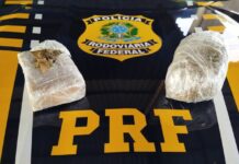 PRF apreende maconha em ônibus durante fiscalização em Pimenta Bueno