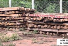 Polícia Militar divulga edital de leilão de madeiras apreendidas em RO