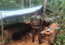 Polícia Ambiental intensifica combate ao desmatamento ilegal em RO