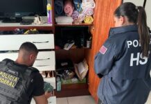 PF e HSI desarticulam esquema internacional de contrabando de migrantes brasileiros; RO na lista