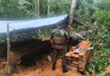 Governador Marcos Rocha reforça compromisso com preservação ambiental e intensifica combate ao desmatamento ilegal em RO