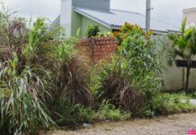 Vilhena monta força-tarefa para fiscalizar terrenos baldios e multar proprietários