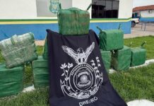 PF e PM apreendem 350 kg de cocaína e prendem dois suspeitos em operação conjunta em RO