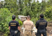 Operação da PF combate invasão e desmatamento em terra indígena de RO