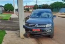 VÍDEO: Motorista colide contra poste ao desviar de animal em Cerejeiras