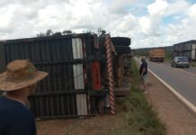 Acidente com caminhão boiadeiro deixa animais mortos na BR-364 próximo a Vilhena