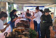 Páscoa na Comunidade” leva lazer, saúde e educação ambiental a moradores de Vilhena