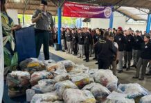 Páscoa Solidária: Colégio Tiradentes arrecada 32 cestas básicas para famílias carentes em Vilhena