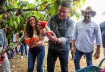 Governador Marcos Rocha abre oficialmente a colheita do cacau e exalta potencial de Rondônia no cenário nacional