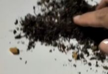 VÍDEO: Suspeito é flagrado com entorpecente durante patrulhamento da PM em Vilhena