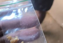 Homem é detido com droga durante patrulhamento da PM em Vilhena