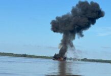 PF e Ibama combatem crimes ambientais em RO