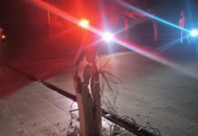 Caminhão boiadeiro danifica postes de energia e motorista é localizado pela PM em Vilhena