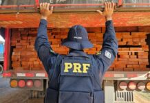 Fraude em documento de transporte de madeira é flagrada pela PRF em RO