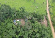 ABRIL VERDE: Operação intensifica combate a crimes ambientais em RO