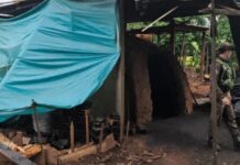 Polícia Ambiental interdita carvoaria clandestina em RO