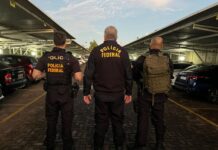 PF deflagra operação para apurar esquema criminoso de concessão de créditos bancários em RO