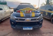 PRF apreende drogas e munições em veículo oficial de saúde em RO