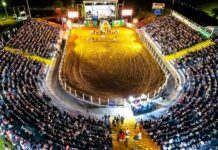 EXPOCOL: Feira agropecuária agita Colorado de 11 a 15 de junho; veja programação