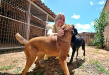 Ieda Chaves é autora da Lei que proíbe confinamento, acorrentamento e alojamento inadequado de pets