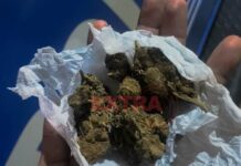 Traficantes tentam se passar por usuários para burlar decisão do STF sobre porte de maconha em Vilhena