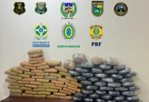 PM apreende mais de 100 quilos de maconha em operação integrada em Primavera de Rondônia