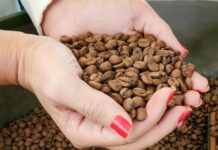 Café registra queda em NY com redução dos riscos de geadas no Brasil