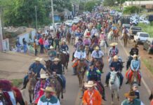 Começa hoje a 37ª Expocol em Colorado: confira programação