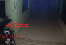 VÍDEO: Ladrão invade casa, furta R$ 6 mil, alianças e perfumes no Jardim América em Vilhena