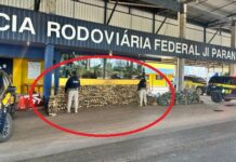 PRF realiza maior apreensão de drogas da história em Rondônia com mais de duas toneladas de maconha skunk