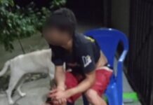 CEREJEIRAS: Jovem é baleado no rosto ao ser atraído por conhecido para “ajudar a desenterrar algo”