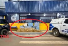 Caminhoneiro é preso com quase meia tonelada de Skunk em posto de combustível na BR-364 em Vilhena