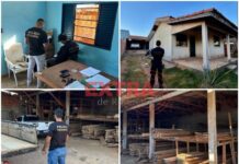 PF deflagra operação contra extração ilegal de madeira em terras indígenas em Vilhena e Espigão do Oeste