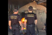 Quase duas toneladas de drogas apreendidas ao longo do ano são incineradas na capital de RO